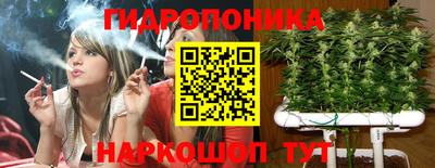 гидра Обнинск