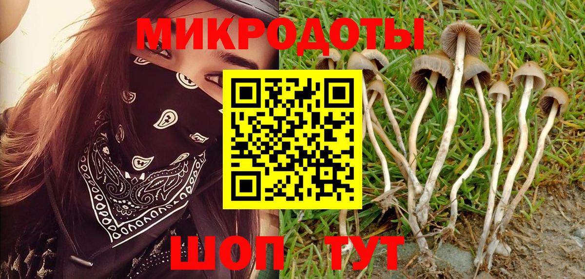 Псилоцибиновые грибы MAGIC MUSHROOMS Тобольск