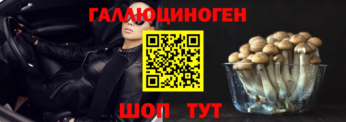 Псилоцибиновые грибы GOLDEN TEACHER  купить наркотик  Вход с VPN  Тобольск  Галлюциногенные грибы мицелий 